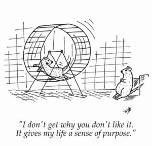 Learning to Live, Living to Learn