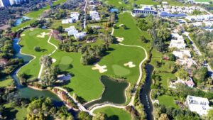 Finding My Purpose – A Winding Path