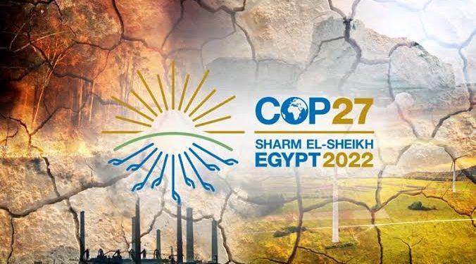 Universities excluded from COP27