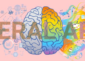 Insight into Pursuing Liberal Arts