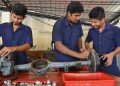 National Apprenticeship India Career Ahead