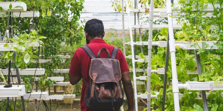 A man with a backpack in a lush greenhouse practicing vertical gardening.