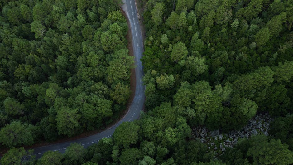 Crafting a Path to Sustainable High Performance