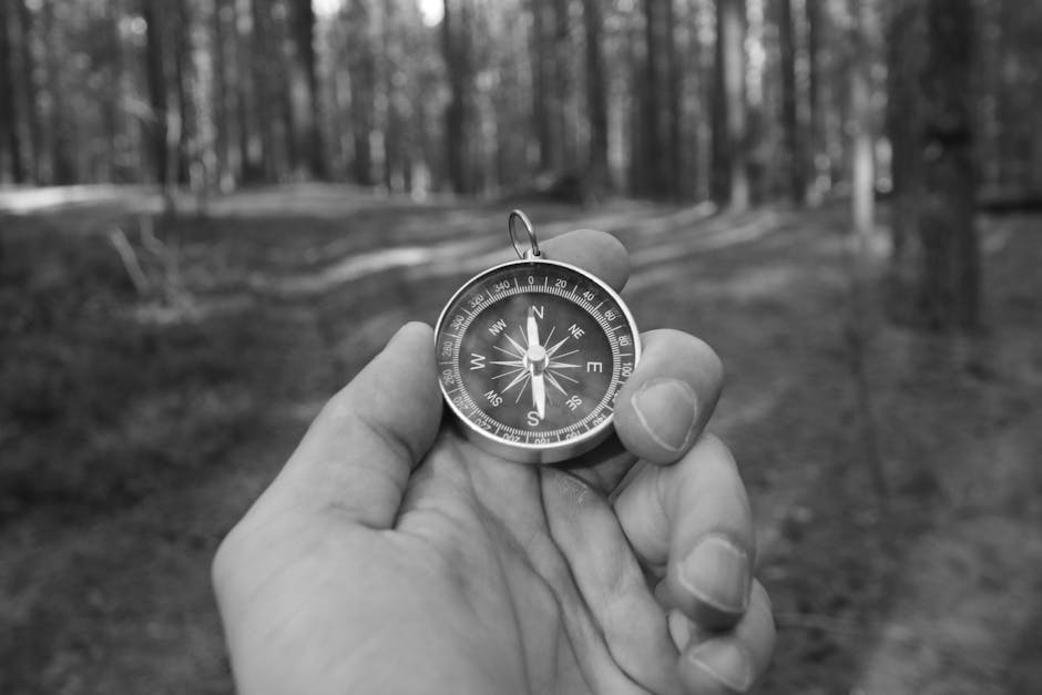 Navigating Your First Job: A Freshers' Survival Guide