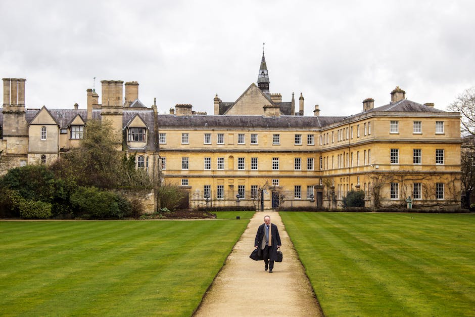 Campus Placements vs. Direct Job Search: Which Path Wins?