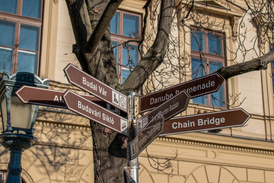 Navigating Post-B.Arch Careers: A Comprehensive Guide