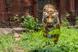 India’s Startup Renaissance: Key Developments of September 2025