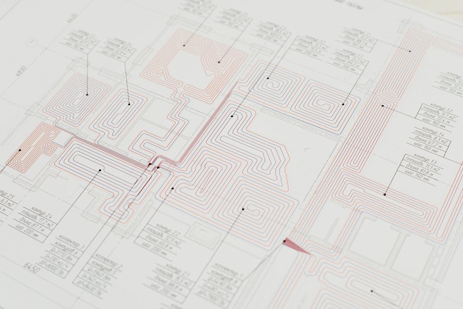 Navigating Your Skills: The Roadmap to Professional Development