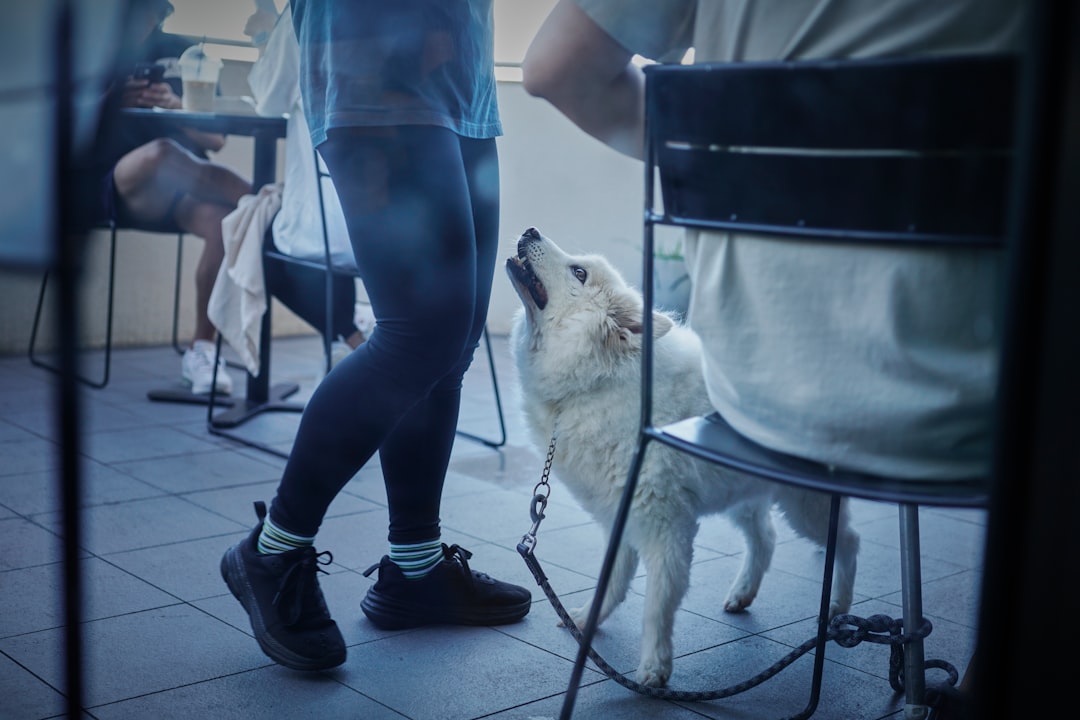 The Rise of Robotic Canines: A New Era in Workplace Innovation