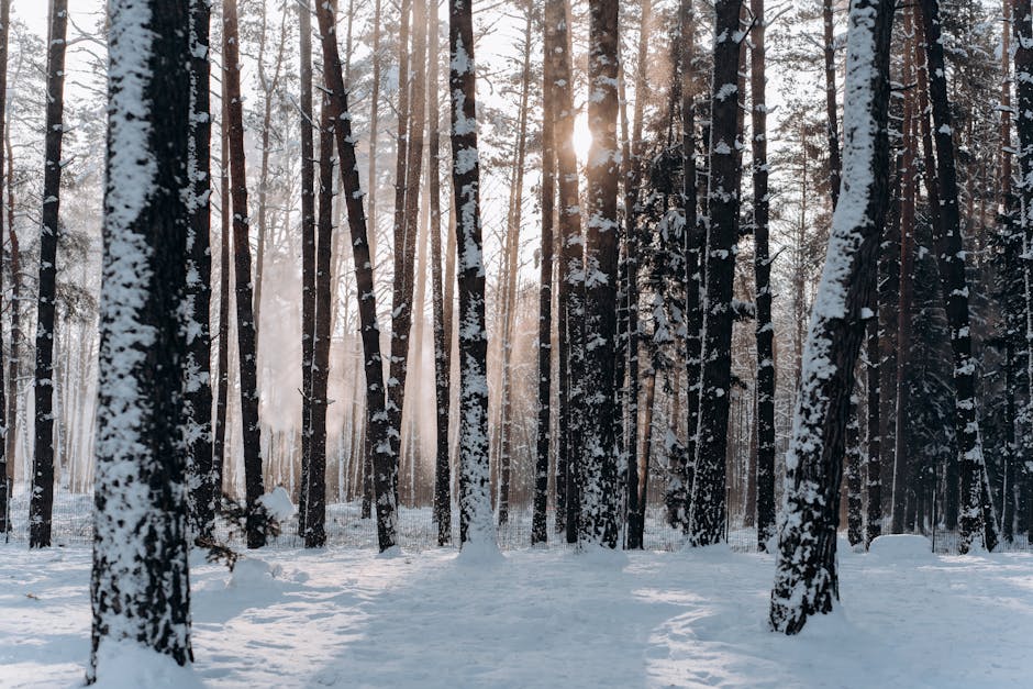 Navigating the New Landscape of Promotions in 2025