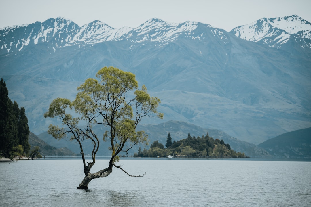 New Zealand's Climate Leadership: A Call for Action