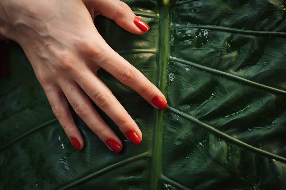 Sustainable Growth: The Rise of Hardwood Charcoal in Eco-Friendly Fashion