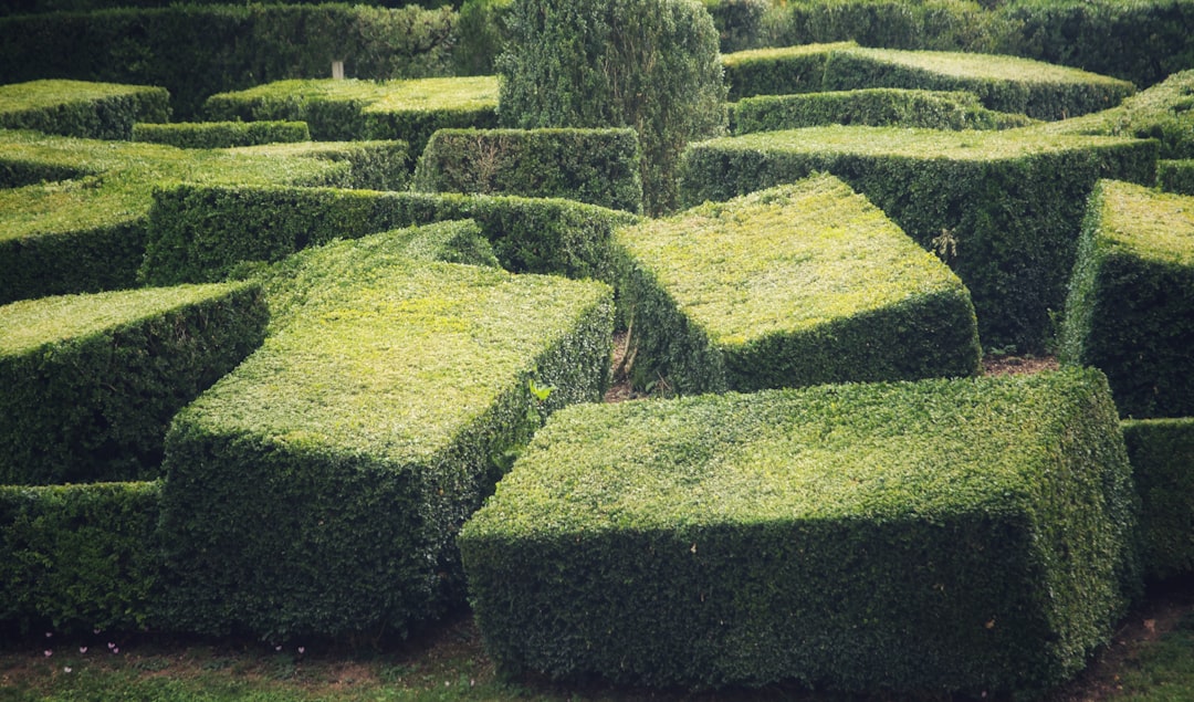 Navigating the Internship Labyrinth: Your Guide to Choosing Wisely