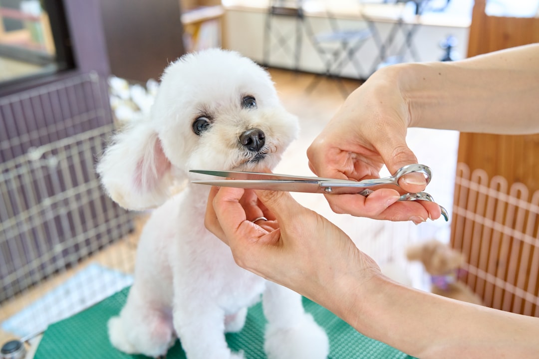 The Rise of AI in Veterinary Science: Transforming Pet Care