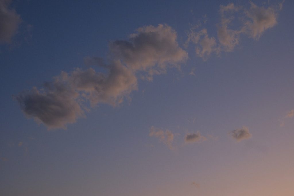 The Green Future: AI’s Role in Carbon Capture and Job Creation