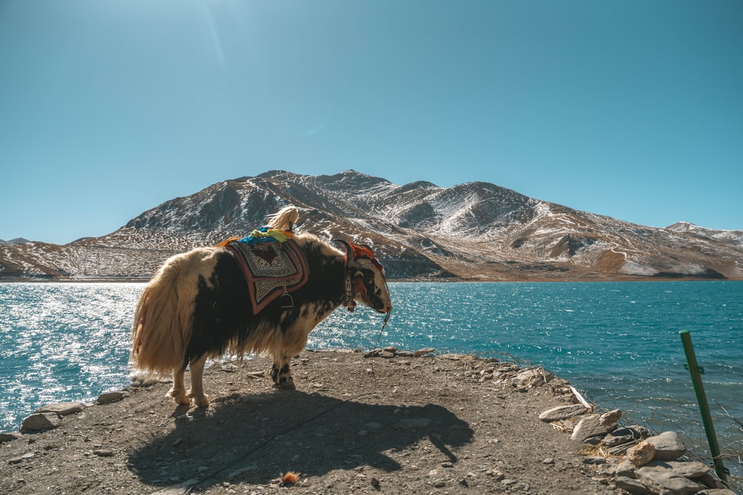 Exploring the Top Havens for Digital Nomads in 2025