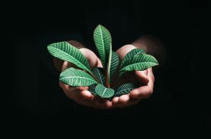 Charting a Path in Sustainability: Careers in ESG