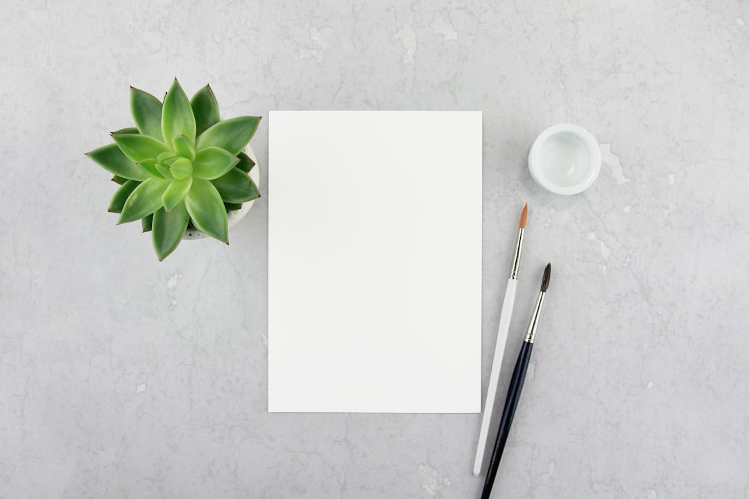 Spotting ‘White Space’: A Guide for Aspiring Entrepreneurs