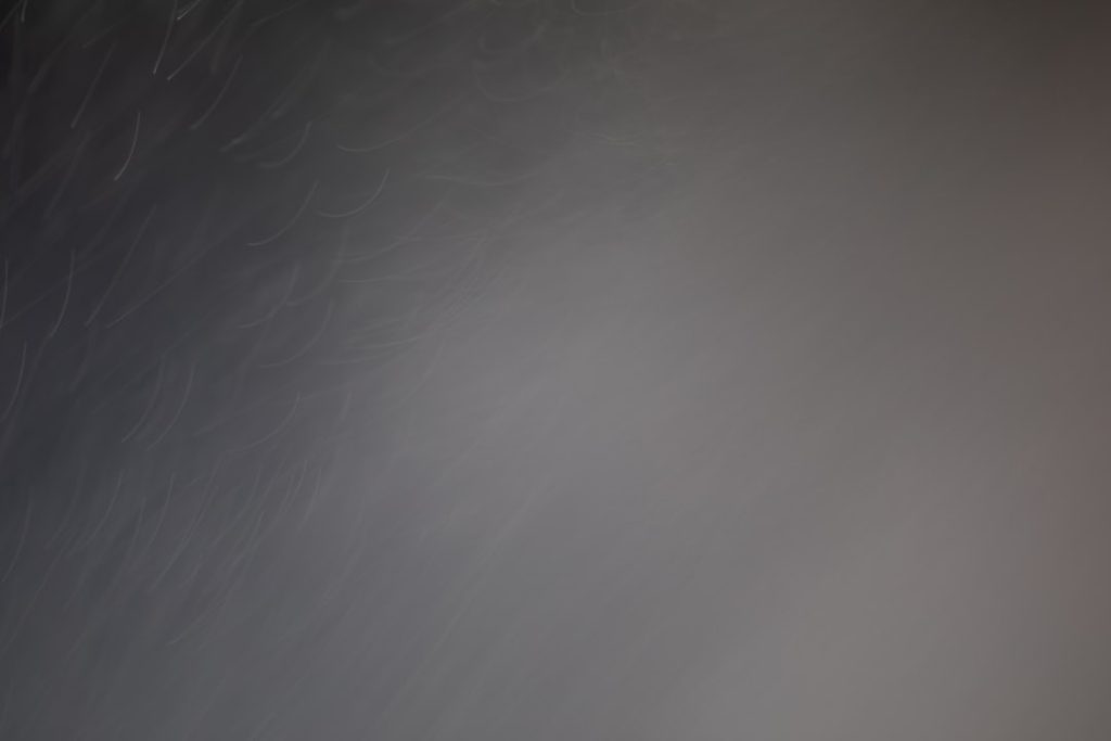 Building a Diverse Network: The Power of Disagreement