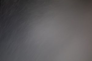 Building a Diverse Network: The Power of Disagreement