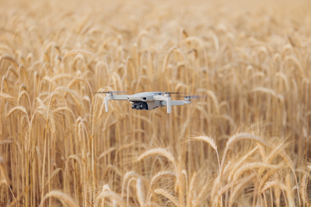 Harnessing Technology: The Future of Agriculture in 2025