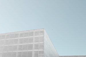 Building Your Reputation Capital: A Career Game-Changer