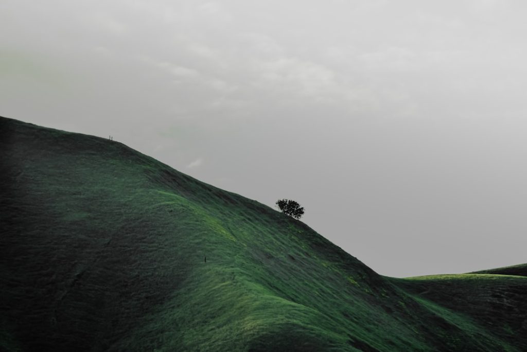 Navigating the AI Landscape in Consulting: A New Era for Analysts