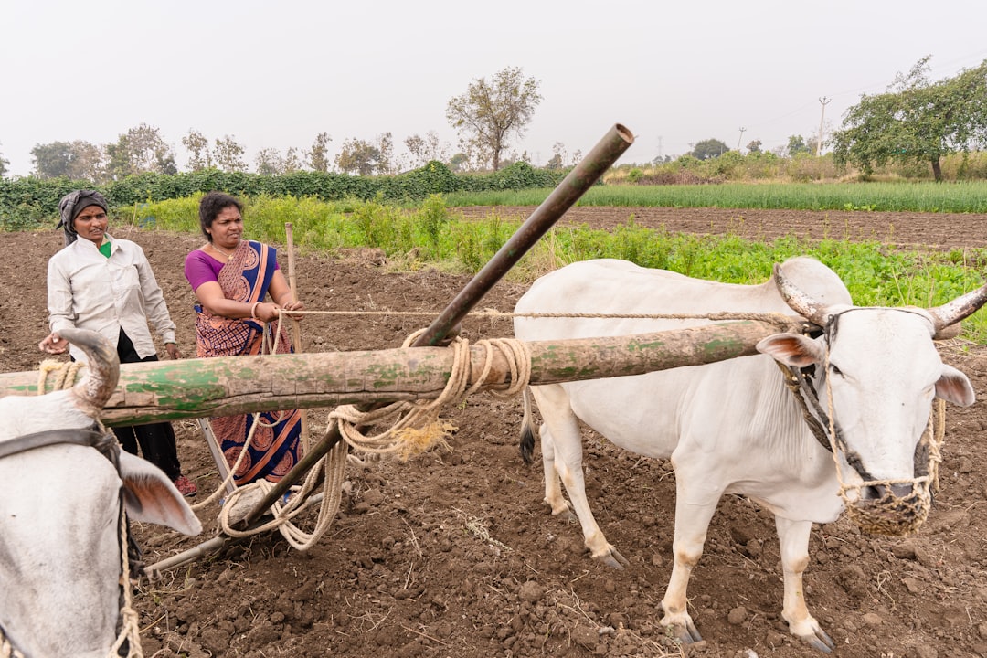 Bridging Science and Agriculture: Empowering Farmers in India