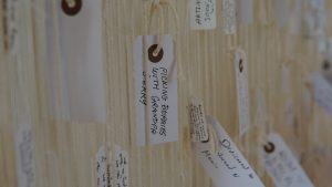 Crafting Your Narrative: The Key to Career Success