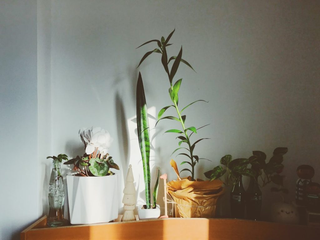 Transforming Feedback Into Growth: A Blueprint for Success