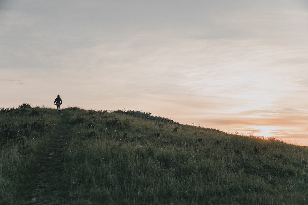 Crafting a Purpose-Driven Career in the Modern Workplace
