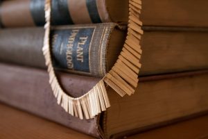 AI Revolutionizing the Legal Field: Impacts on Education and Practice