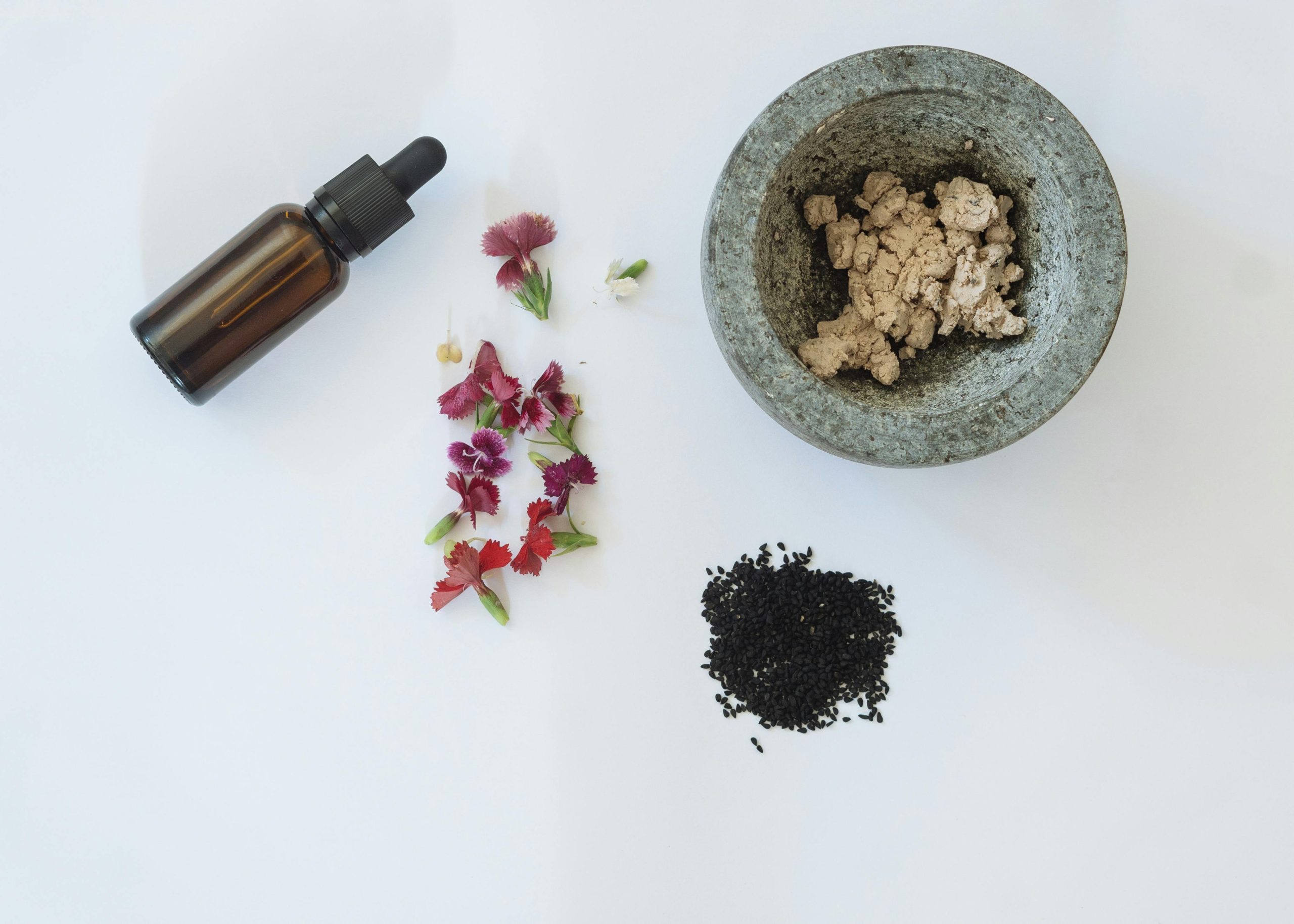 Ayurveda Takes Center Stage: Integrating Ancient Wisdom into Modern Education