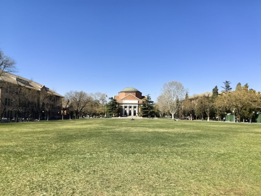 Campus Connections: The Key to Career Success