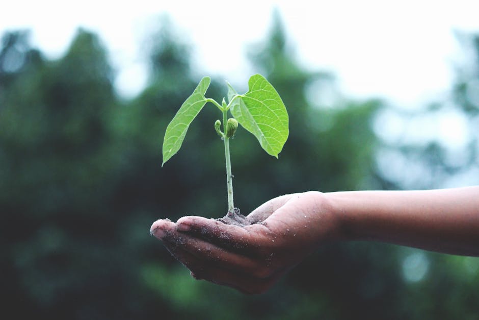 Harnessing AI for Green Jobs: A Future for Youth
