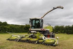 Navigating the Big 4 Visa Changes: A Guide for Indian Professionals