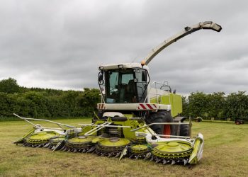 Navigating the Big 4 Visa Changes: A Guide for Indian Professionals