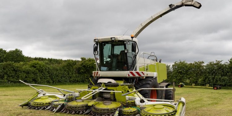 Navigating the Big 4 Visa Changes: A Guide for Indian Professionals