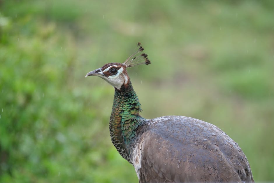 Sunil Moolchandani Takes the Helm as National Sales Head at Hyundai Motor India