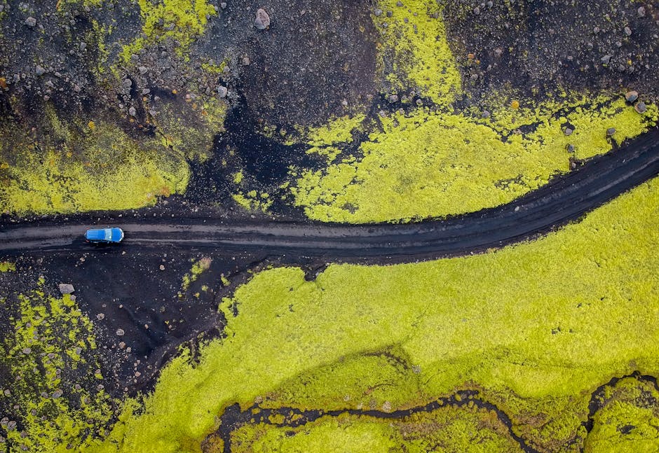 Navigating the Future: AI's Impact on Transportation Careers
