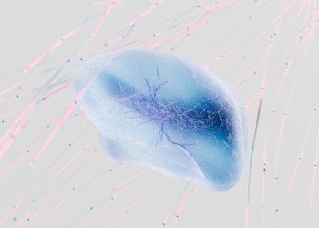 Digital Nomads in 2024