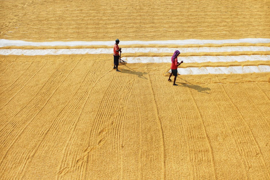 India's Workforce Grows by 16.83 Million, Driven by Women