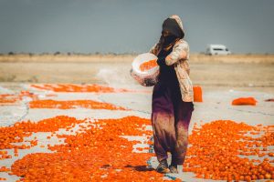 Sustainable Profit: The Next Competitive Advantage