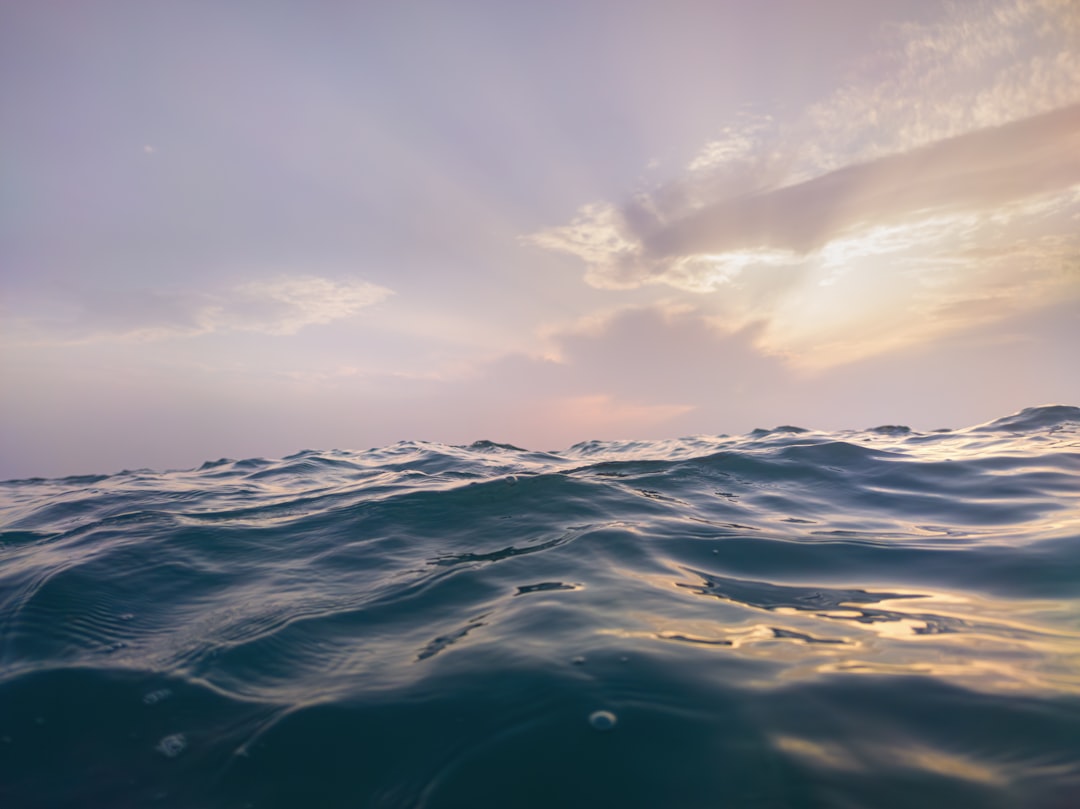 Navigating the Future of Ocean-Based Economies