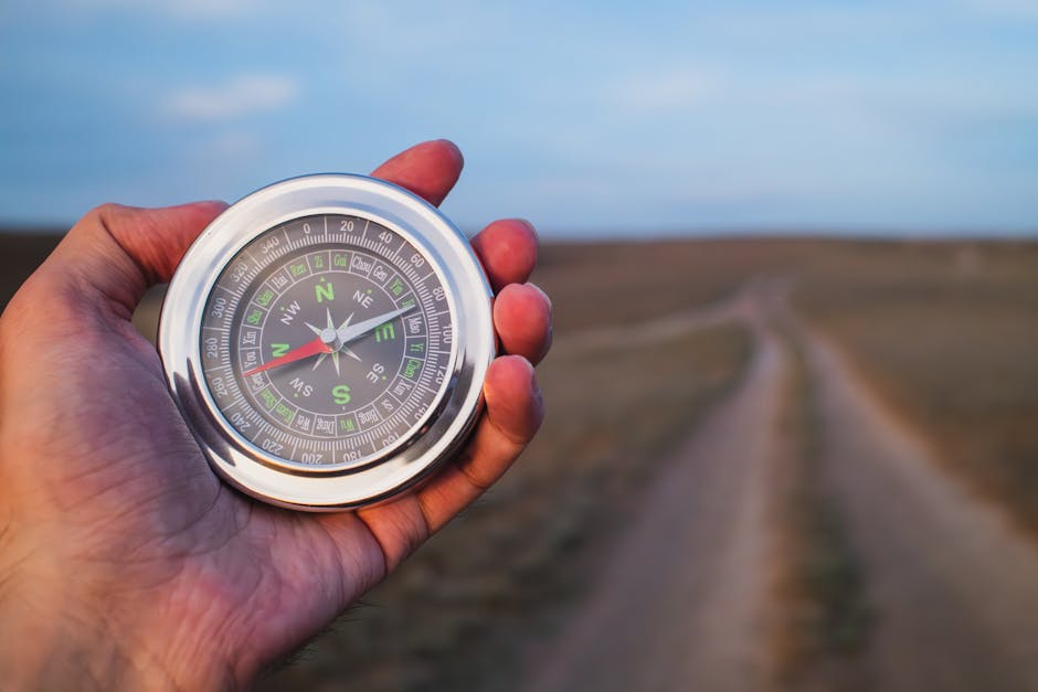 Navigating the Path to Higher Education Abroad: A Year-by-Year Guide