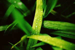 Nigeria’s Population Surge: A Catalyst for Unrest?