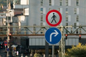 Burlington Developer Faces Charges for Tree Removal