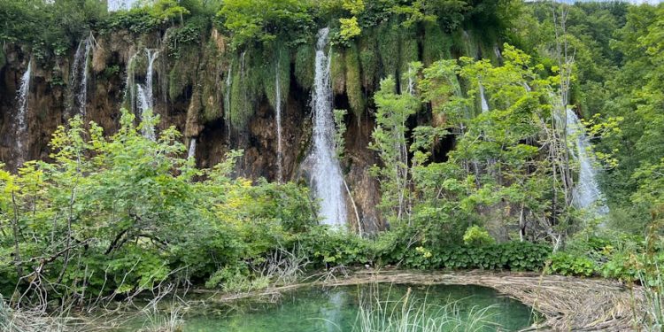 Empowering Young Innovators: Jolé St. John’s Vision for Sustainable Tourism in the Caribbean