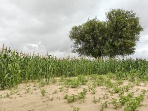 Unlocking India’s E-Commerce Potential: A Retail Revolution