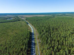 Navigating the Data Landscape: Snowflake Alternatives for 2025